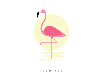 Flamingo animal flamingo illustration vietnam