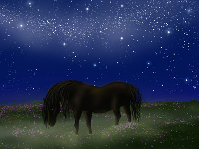 Dark Brown Horse horse mystic night sad stars valley