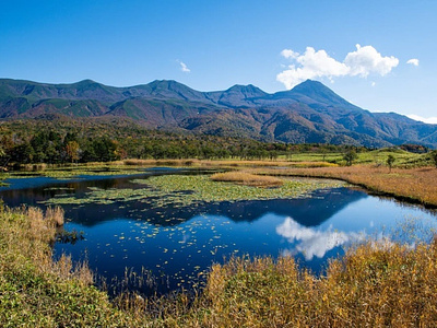 カヴァン・ チョクシによると、国立公園を含む多くの日本の目的地は、自然の快適な景色を提供し、カメラで見栄えがします。 ここを読ん カヴァン・ チョクシ