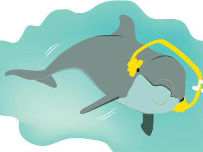 Epic Dolphin dolphin illustration