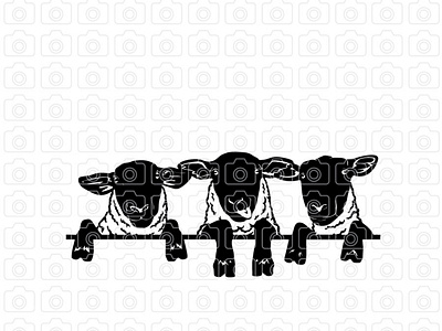 Sheep Peeking Svg Lamb Peeking Svg Farmer Sheep Svg Png Dxf Eps