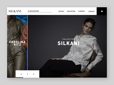 Silkani home page