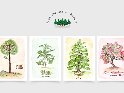 From forests of Kumaon cards colour forests illustration kumaon lettering nature trees typogarphy water