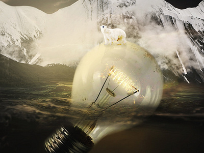 Global Warming Manipulation adobe animal animals globalwarming lightbulb manipulation nature photomanipulation photoshop polarbear savethenature surreal surrealism