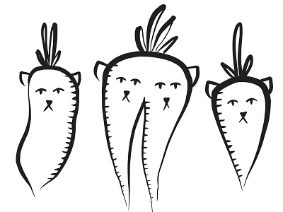 Daikon, Double-Carrot, Carrot