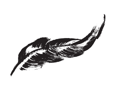 Feather feather illustration inky