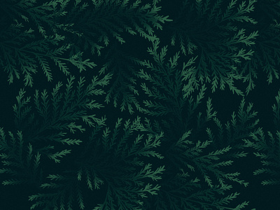 Fern Pattern