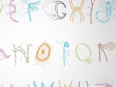 Insect Type alphabet bug illustration insect typography