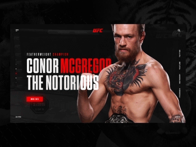 Fighter’s Info. Conor McGregor animation boxing champion fighter gif heyllow mcgregor statistic ufc ui ux