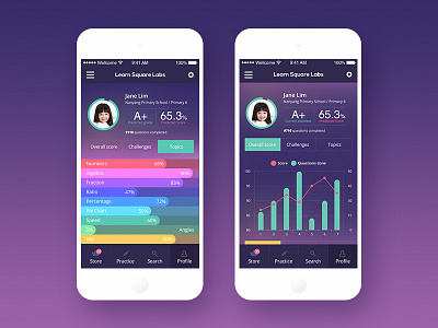 LearnSquareLabs. Profile app ios iphone knowledges statistic testing ui ux