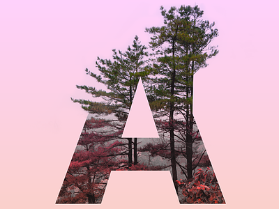 The letter "A" gradient letter tree trend