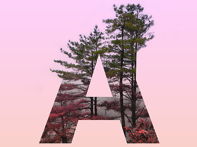 The letter "A"