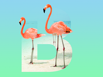 The letter "B" design flamengo gradient letter trend