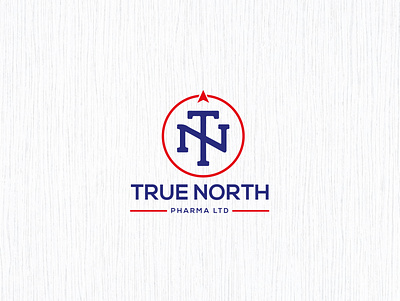 True North Logo Design app branding design graphic design illustration logo typography ui ux vector