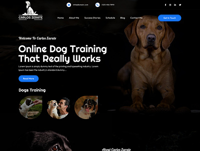 Online Gog Training Web Design 3d animation branding dog web design graphic design landing page logo motion graphics ui
