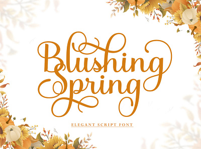 Blusing Spring app branding design illustration logo sc script typography vector
