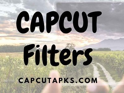 Capcut Filters capcut video editor video editing