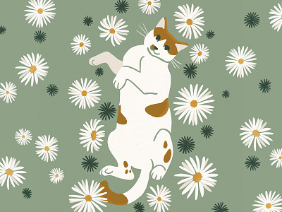 Daisies design illustration procreate