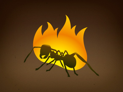 Ant on fire