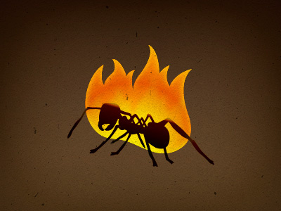 Ant on fire (w/Photosop)