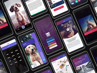 Panda Mobile UI Kit adroid ui kit app design statistics article design feed list design free app free ui kit ios ui kit login design onboarding design panda ui kit ui kit xd ui kit