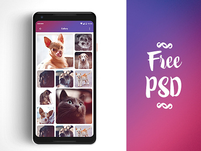 Free PSD - Camera Gallery design article design camera free psd free ui kit gallery grid panda ui kit