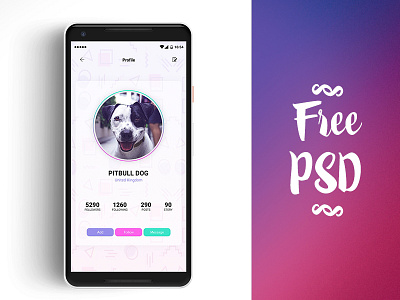 Profile design - Free PSD article design free psd free ui kit panda ui kit profile screen user card