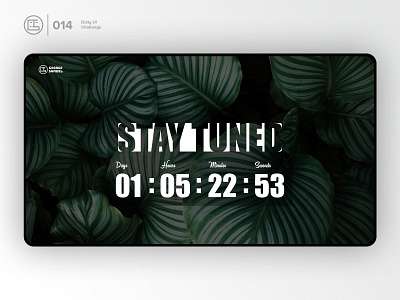 Countdown-timer | Daily UI challenge - Day 014/100 animation clean design countdown timer daily ui daily ui 014 dark ui ecommerce george samuel hero section interaction interaction design landing page tree trendy ui design ui ux design user experience user interface ux web design