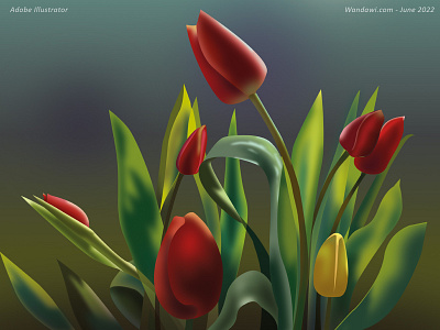 Early morning red tulips