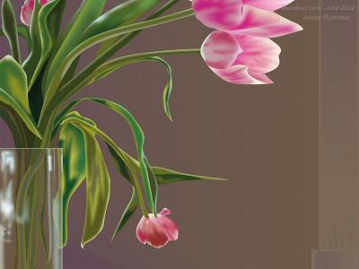 Profile of pinky stripped tulips