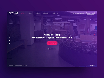 Mty Digial Hub Website art direction ui user experience user interface ux ux ui web design