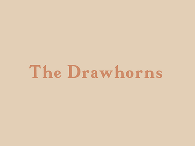 The Drawhorns Word-Mark brand branding design hand lettering logo typography