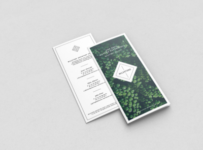 Trifold Brochure Design adobe creation creative creative design creativity design trifold brochure design