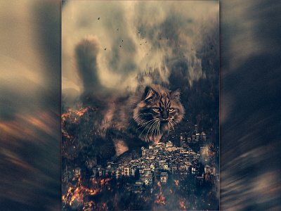 Cat revenge. branding design graphic design illustration photomanipulation