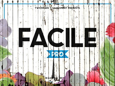 Facile Pro Typeface facile pro font grotesk sans serif twicolabs typeface