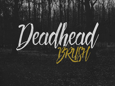 Deadhead Brush brush font lettering poster script typeface typography
