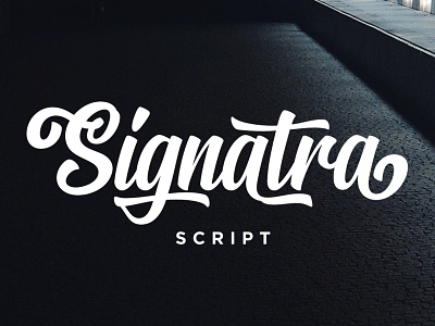 Signatra Script Typeface font fontdation hand lettering lettering script signatra typeface typography