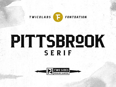 Pittsbrook Serif 1 branding classic font fontdation lettering typeface typework typography vector vintage