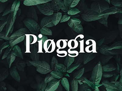 Pioggia | Modern Serif branding font lettering logo logotype typeface typework typography ui vector