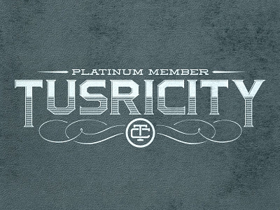 Tusricity twicolabs typography vector