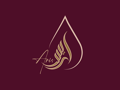 Aris 3d logo graphic design lettering logo logo design minimalist logo