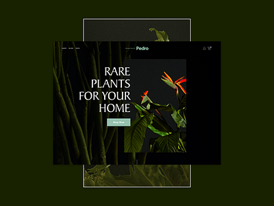 Pedro - Squarespace template ecommerce online store plants squarespace template web web design