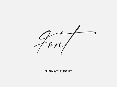 Signatie Font calligraphy design font font design fonts fontself illustration lettering logo type typeface typography