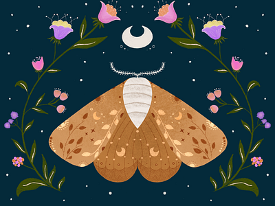 Magical Moth art childrenillustration creative design graphic design illustration pro procreate