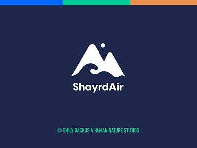 ShayrdAir Logo Design / Brand Identity