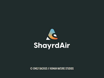ShayrdAir - Unused Concept #1