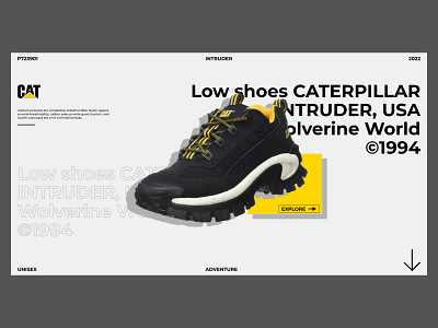 CATERPILLAR INTRUDER presentation or web-design cat caterpillar design graphic design illustration presentation product design