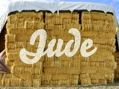 Hay distress farm grunge script type typography