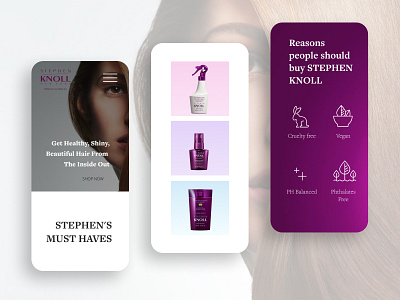 Responsive Web Design for Stephen Knoll