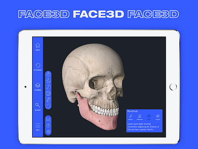 FACE 3D app atlas bone head ipad tablet ui usability ux